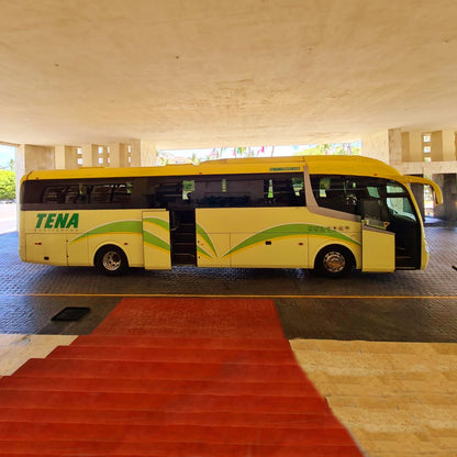 Renta de Autobuses con Chofer para 47 pasajeros