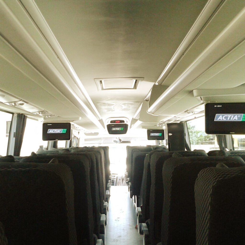 Renta de Autobuses con Chofer para 47 pasajeros