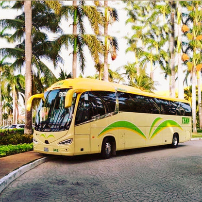 Renta de Autobuses con Chofer para 53 pasajeros